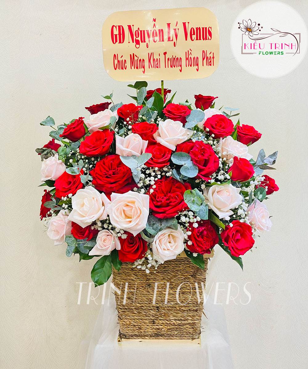 Giấc Mơ Tuyết Trắng G213
